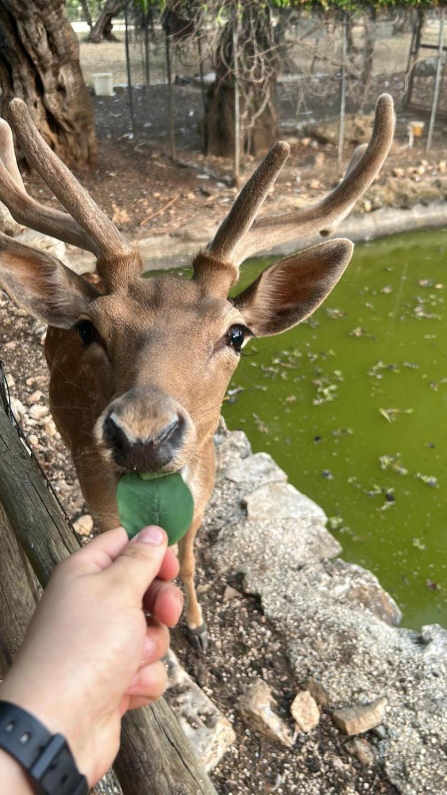 Toritto Agriturismo Armientiヴィラ エクステリア 写真