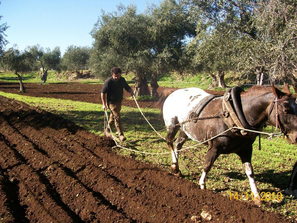 Toritto Agriturismo Armientiヴィラ エクステリア 写真